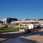 Magnolia אוליבה
